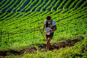 BIB: 
                            <button type="button" onclick="openModal(19160478)" class="btn btn-primary btn-sm float-right btn-popup" data-toggle="modal" data-target=".modal-high-quality">
                        <i class="fas fa-shopping-cart"></i> Add to Cart
                    </button>
                                            <button type="button" onclick="isThisMe(19160478, true)" class="btn btn-success btn-sm float-right btn-popup btn-isme hidden" data-toggle="tooltip" data-placement="bottom" title="นี่คือรูปของคุณใช่ไหม คลิกที่นี่เพื่อเอาเข้าอัลบั้ม">
                        <i class="fas fa-plus"></i> Add to album
                    </button>
                    <button type="button" onclick="isThisMe(19160478, false)" class="btn btn-warning btn-sm float-right btn-popup btn-isnotme hidden">
                        <i class="fas fa-ban"></i> Remove from album
                    </button>